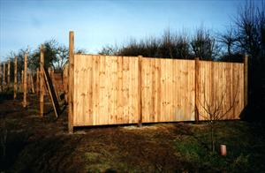 Example panels